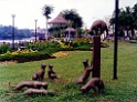 Kuching Cats